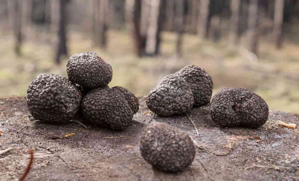 Que es el aceite aromatizado con trufa