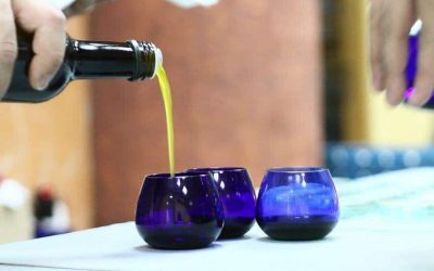 Como catar un aceite de oliva ecologico