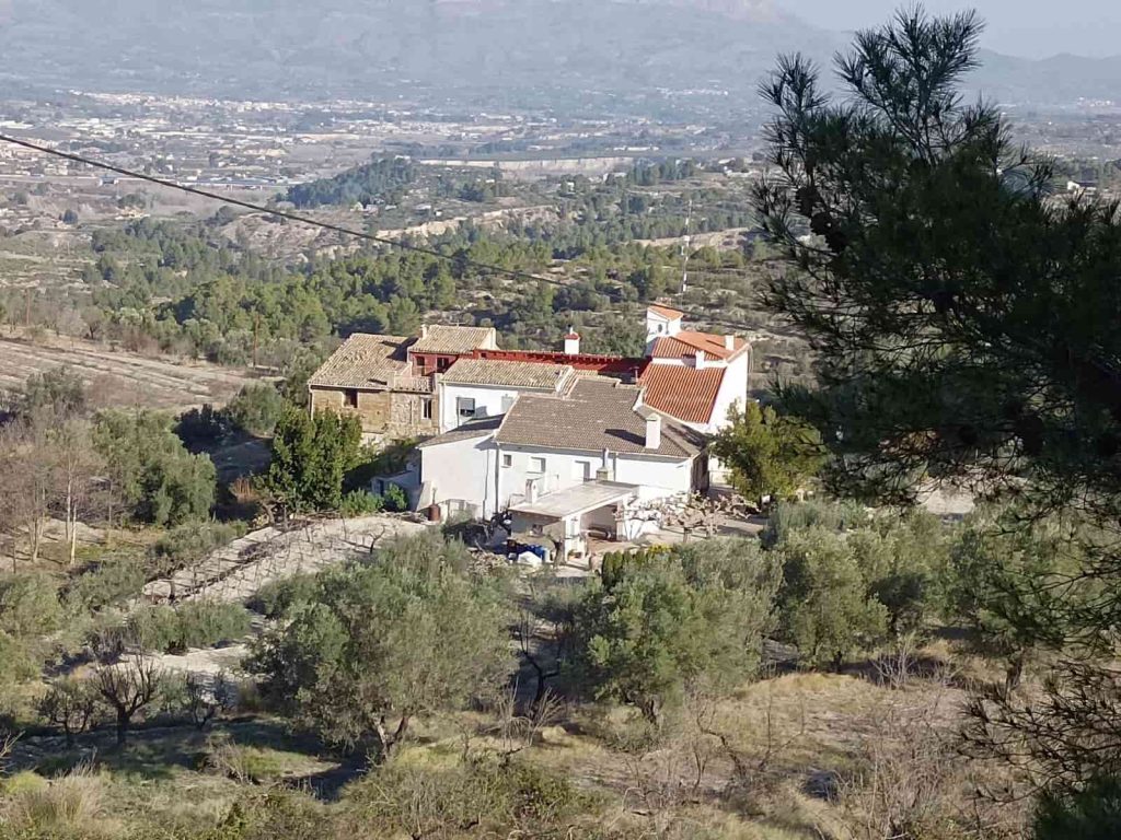 Aceite del Mas de la Era Cocentaina