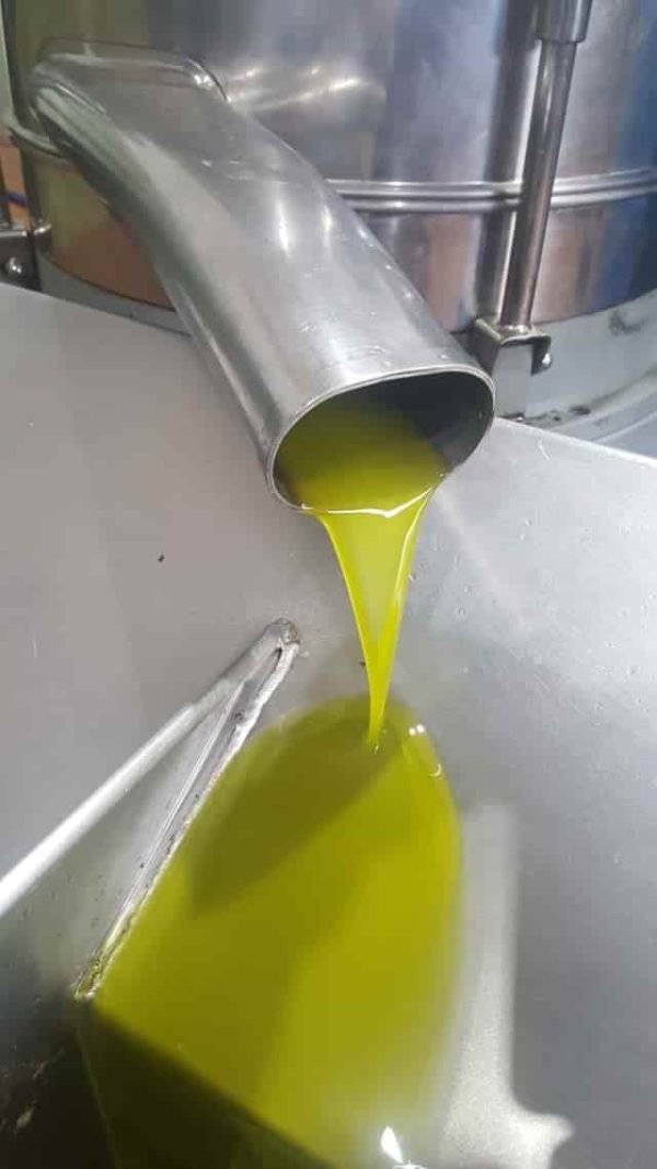 ¡Pack Oferta! Aceite de Oliva Virgen Extra 15L Envío Gratis – Aceite Variedad Alfafarenca - Imagen 9