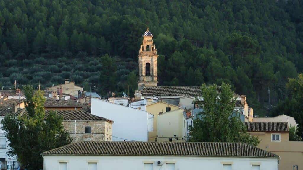 Comprar aceite de oliva de alfafara