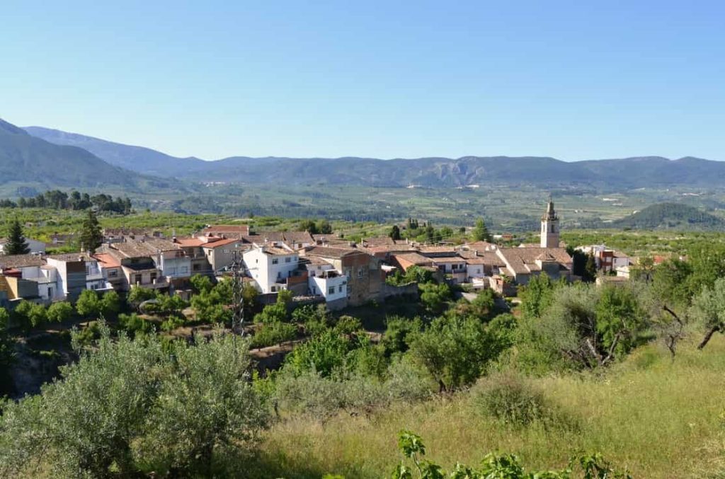 Donde comprar aceite de Millena - Aceite de Alicante