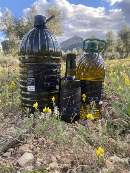 Venta de aceite de cooperativa - Almazara Alicante