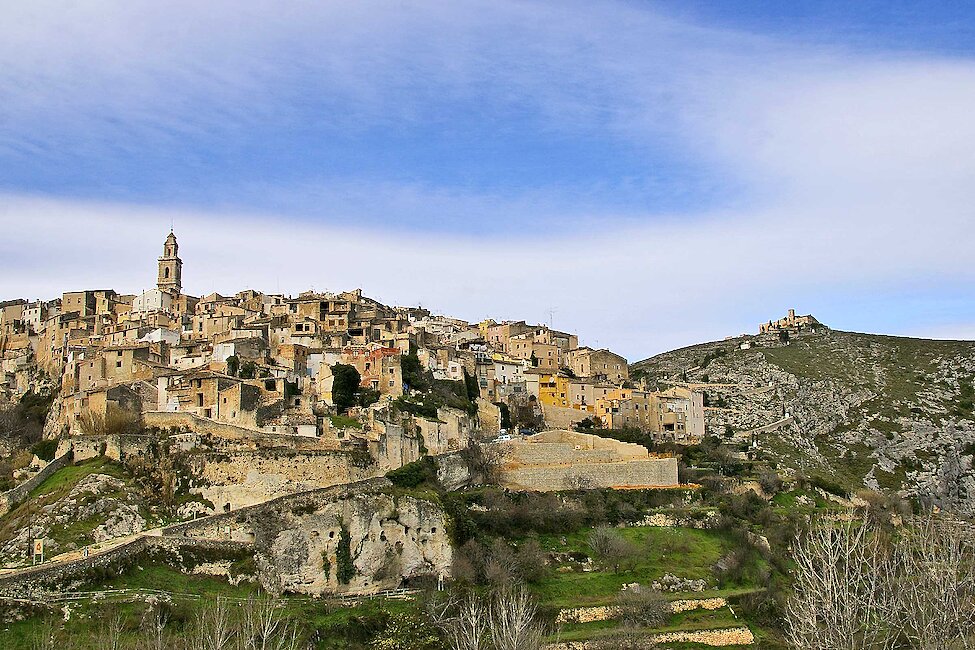 comprar aceite de Bocairent