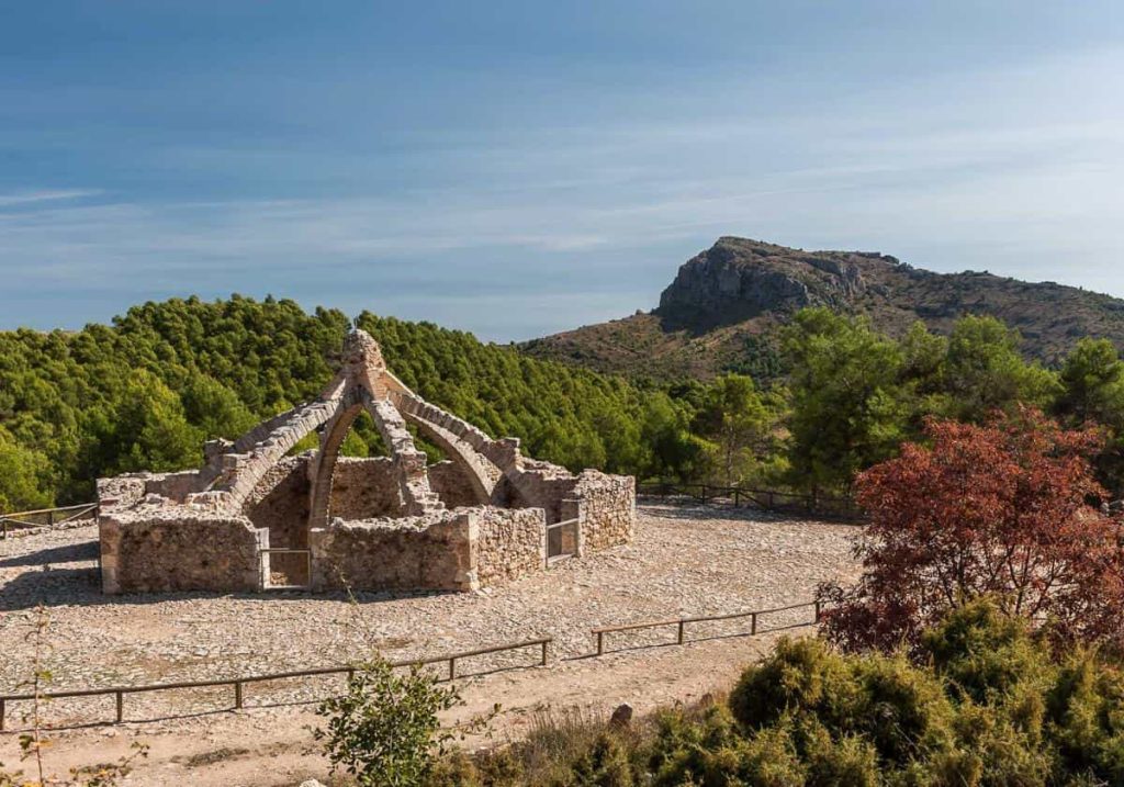 Comprar Aceite de la Sierra Mariola en Alicante