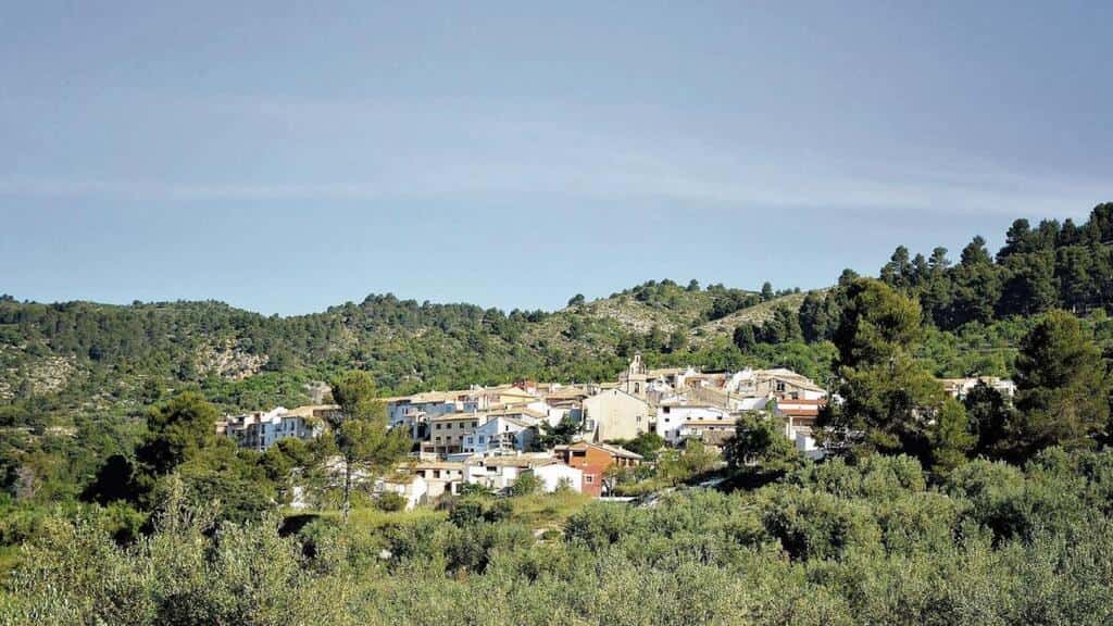 Comprar Aceite de Benimassot de Alicante 1