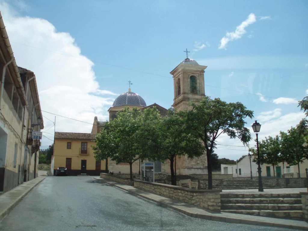 Comprar Aceite de Oliva - Camp de Mirra Alicante