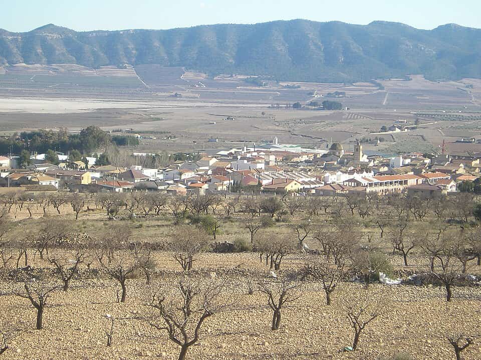 Comprar Aceite de Oliva de Salinas