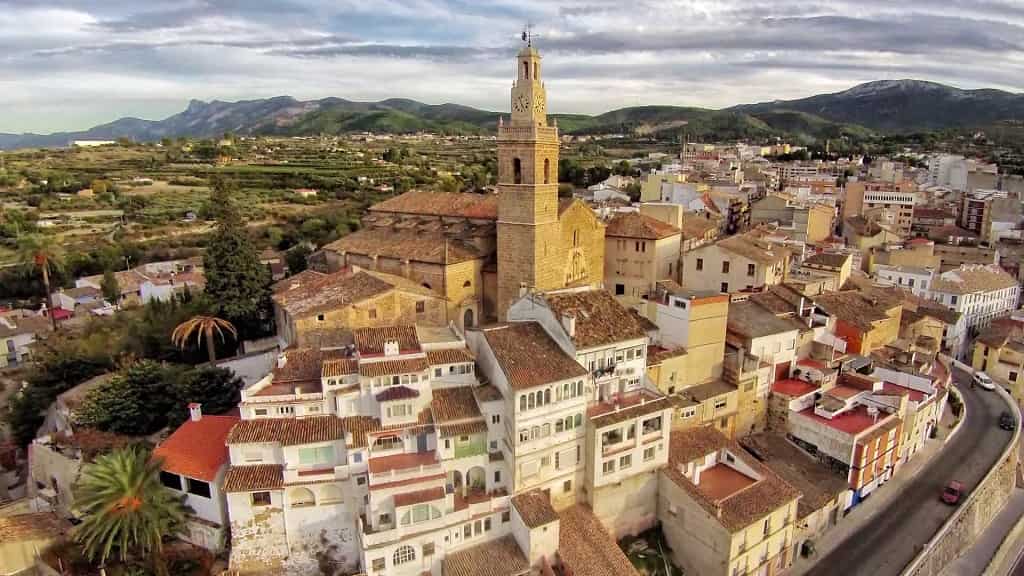 Comprar Aceite de Oliva en Albaida