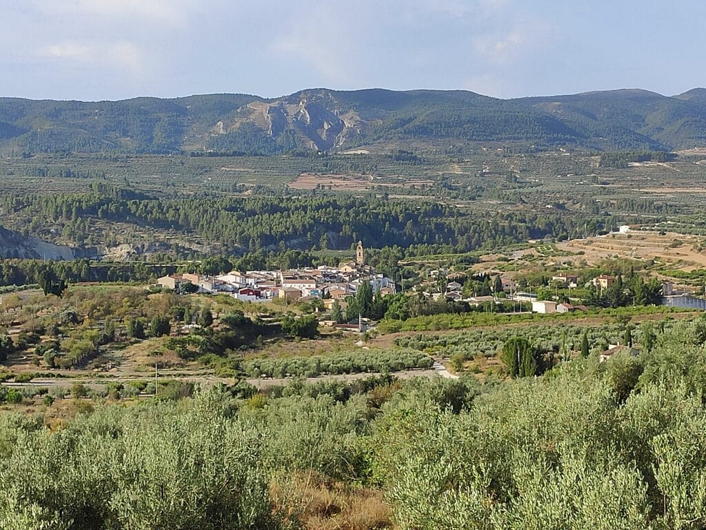 Comprar Aceite en Gorga El Comtat Alicante