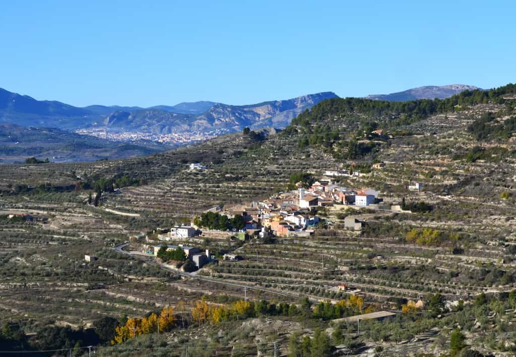 Comprar aceite de Balones - Alicante - Oli