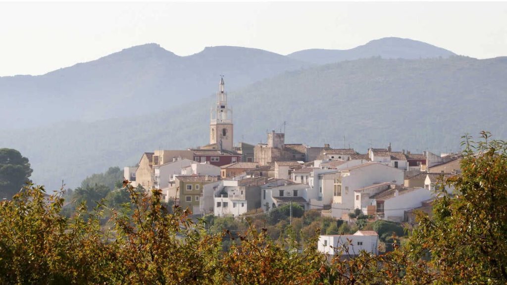 Comprar aceite - oli - de parcent - marina Alta - Alicante