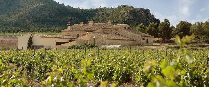Que ver y que hacer en Salinas Alicante Alto Vinalopo