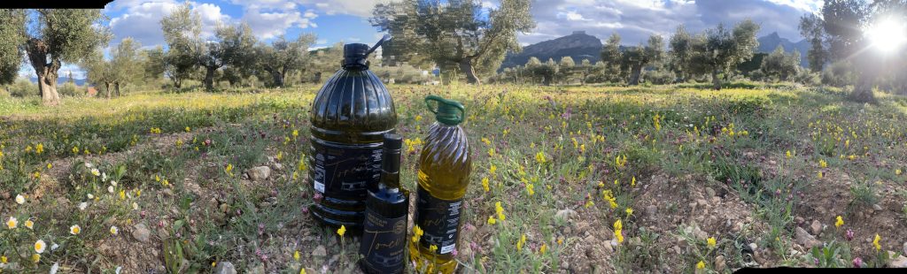 Venta de Aceite de Almazara cosecha este año Alicante